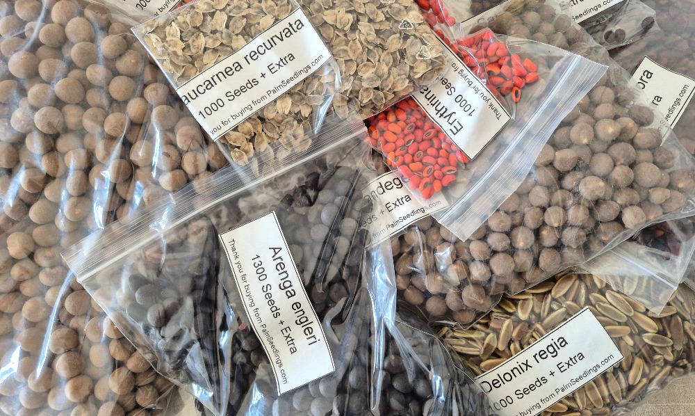 Phytosanitary Certificate 2 image ()